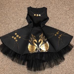Beautiful Black Swan Dress
